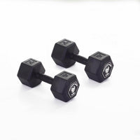 Hex Dumbbell Pair