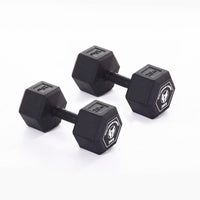 Hex Dumbbell Pair