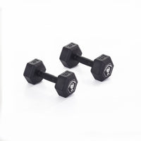 Hex Dumbbell Pair